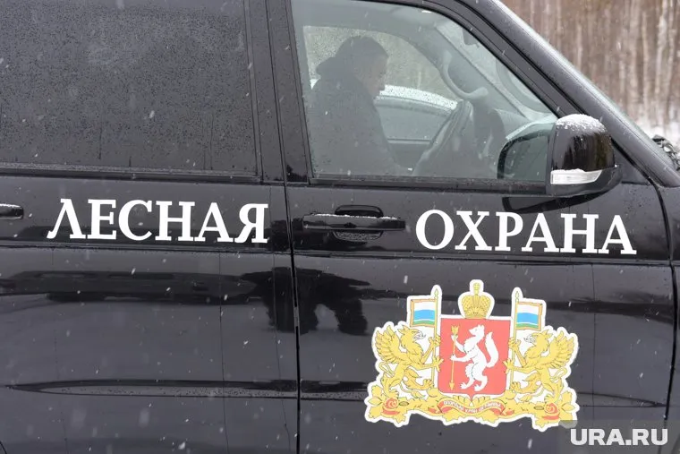 Свердловская область в пятерке лучших по борьбе с лесными пожарами