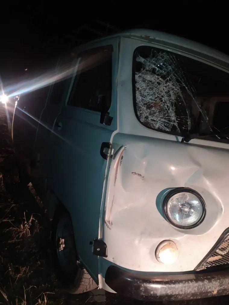 В результате наезда УАЗа один молодой человек погиб, у другого сломана рука