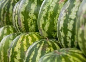 Фотография из галереи