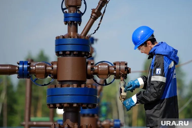 Австрия намерена продолжить платить России за газ валютой, заявил Александер Шалленберг