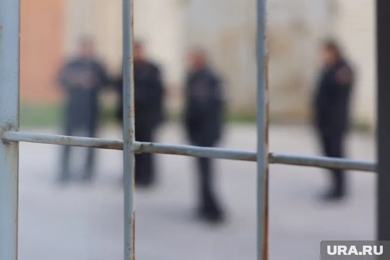 Три адвоката Навального* отправлены в СИЗО