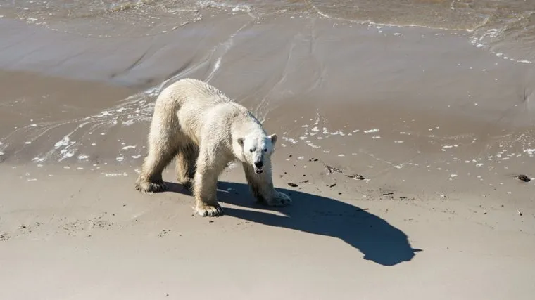 Фото: правительство ЯНАО