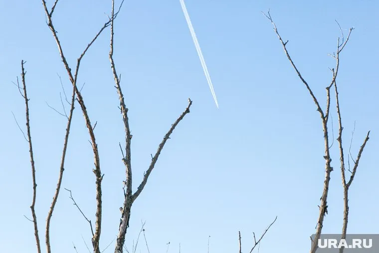Сообщения о якобы падении самолета в Кемеровской области оказались фейком (фото из архива)