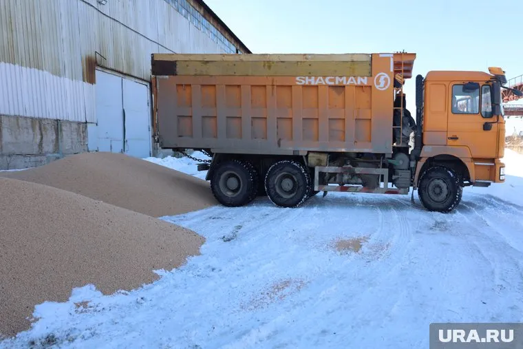 Пшеничные отруби используются для кормления сельскохозяйственных животных