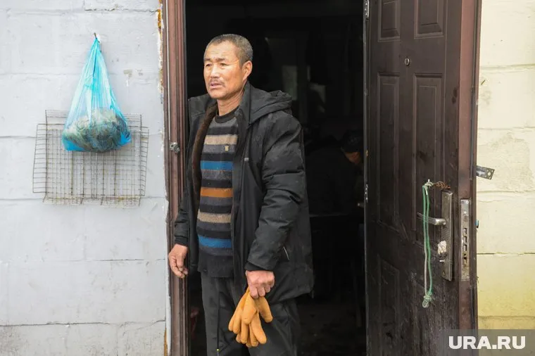 Нелегалов сотрудники полиции забрали с собой (архивное фото)