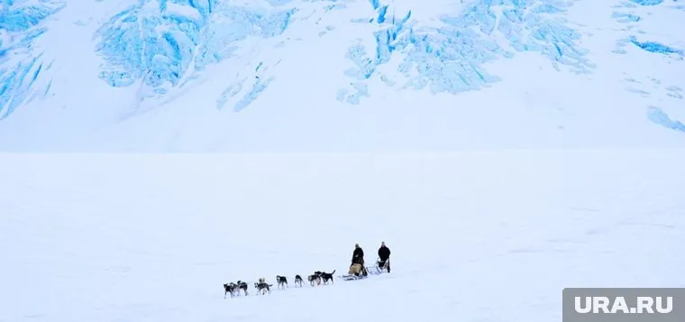 Условия Арктики оказались слишком жесткими для американских военнослужащих (фото из архива)