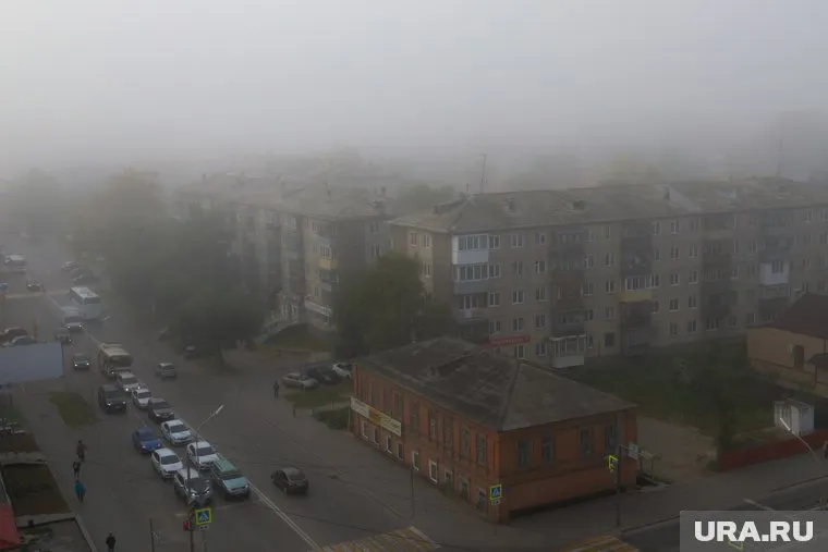 Из-за тумана курганских водителей и пешеходов просят быть предельно внимательными