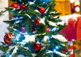 В чем встречать год Огненной Лошади: в каком цвете и наряде по знакам зодиака