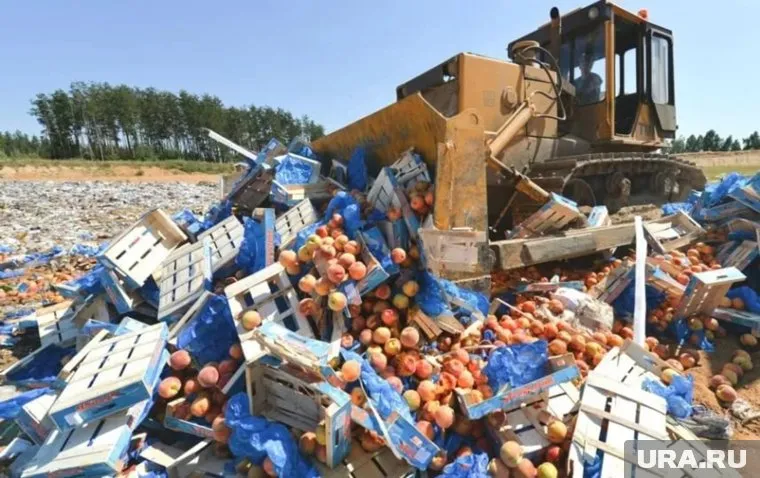 У бульдозеристов, давящих продукты, нет времени на перерыв