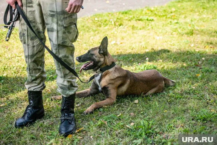 Женщина ушла из стойбища в районе Кирюхиной горы