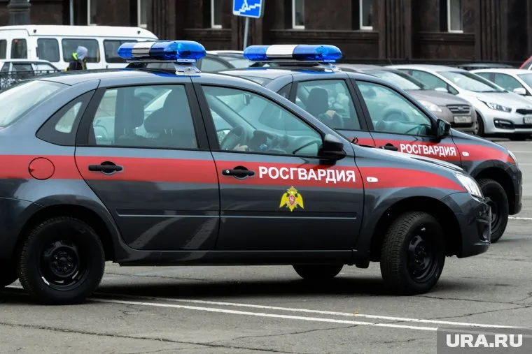 17-летний юноша напал на росгвардейцев при задержании, а затем еще раз — в дежурной части