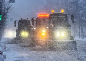Задержки рейсов, транспортный коллапс и падающие деревья: