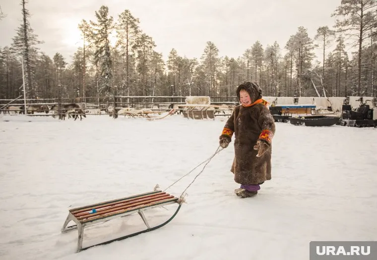 Ужасная трагедия произошла 10 ноября 2024 года, считает СКР