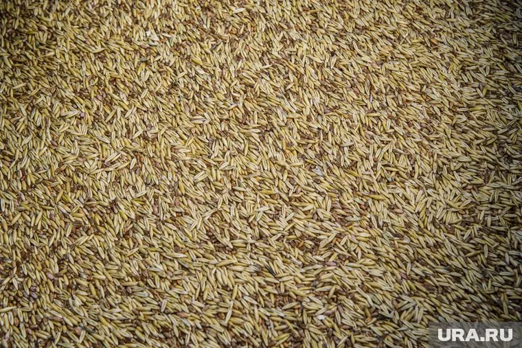 Мир может столкнутся с угрозой голода уже в следующем году, заявил Генсек ООН