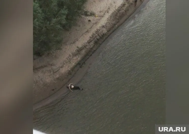 Личность омского утопленника установить не удалось