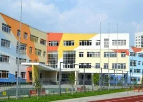 «Ни совести, ни мозгов»