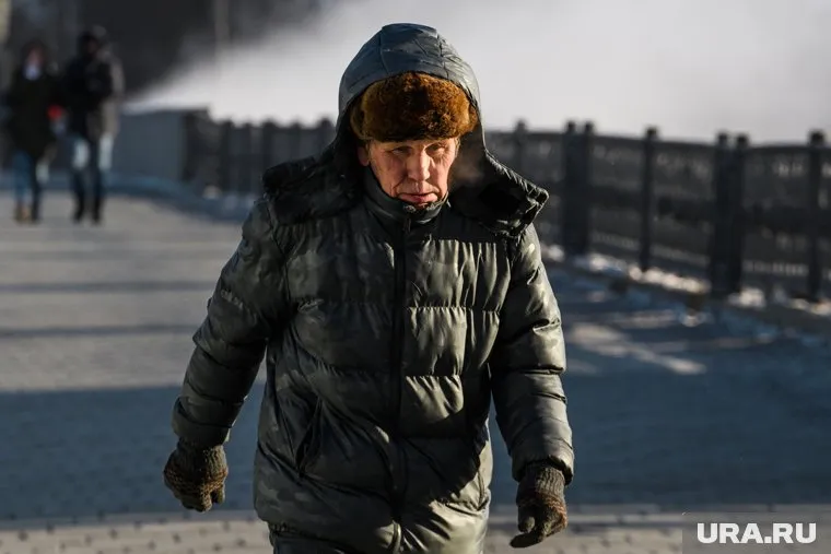 Людмила Пискунова пояснила закон, который обязывает платить пенсионеров штраф в 120 тысяч рублей за незаконную работу