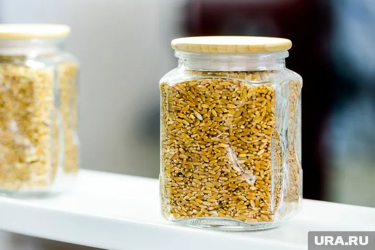 Земледельцы указывают в документах на зерно ложные сведения и не проводят нужные исследования