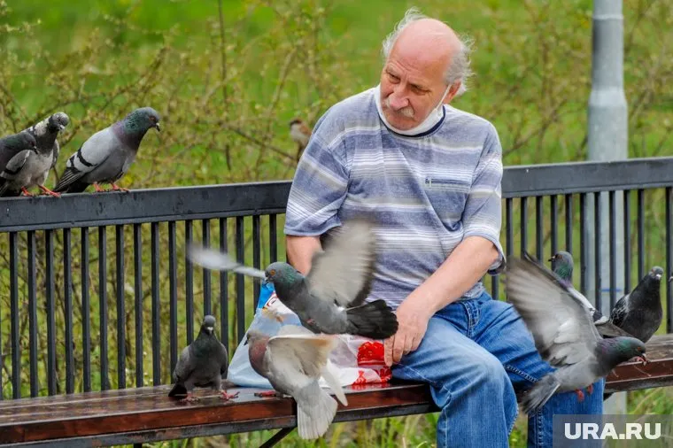 Пенсионерам в рамках программы накопительного пенсионного страхования проведут единовременные выплаты