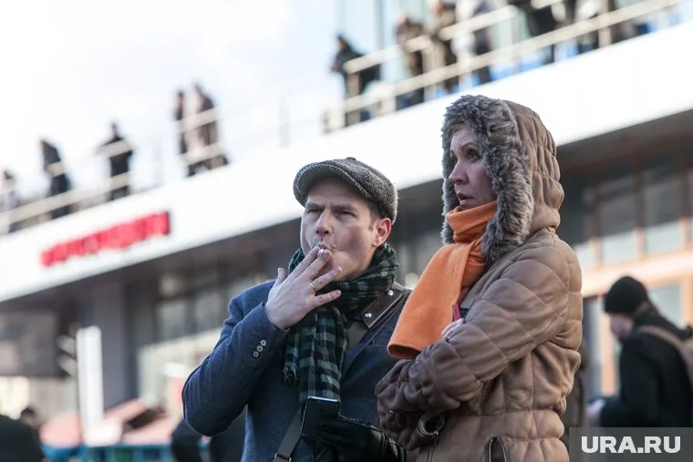 Иноагента Татьяну Лазареву* просят заочно поместить под стражу