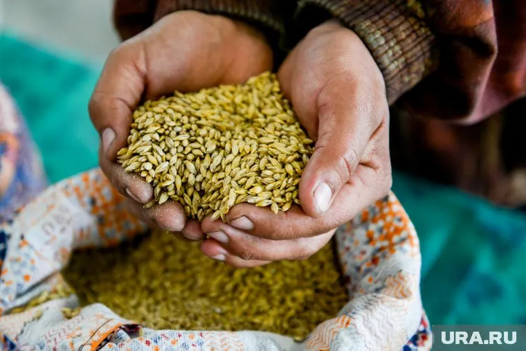 Украина готова возобновить экспорт зерна с согласия России, заявил Дмитрий Кулеба