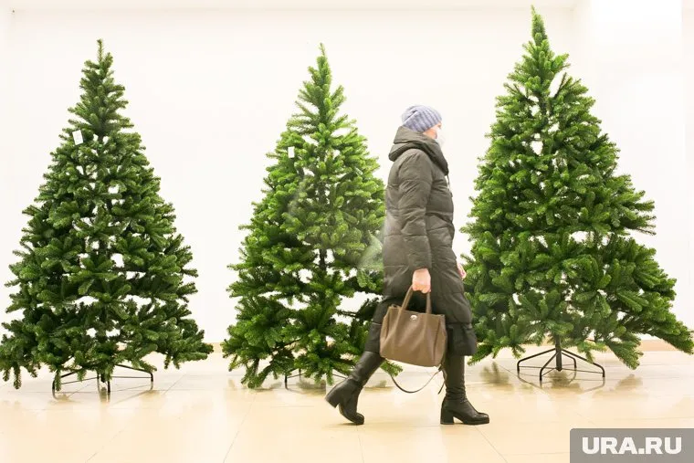 Стоимость елок начинается от 300 рублей