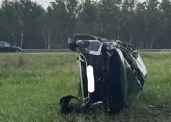 Фотография из галереи