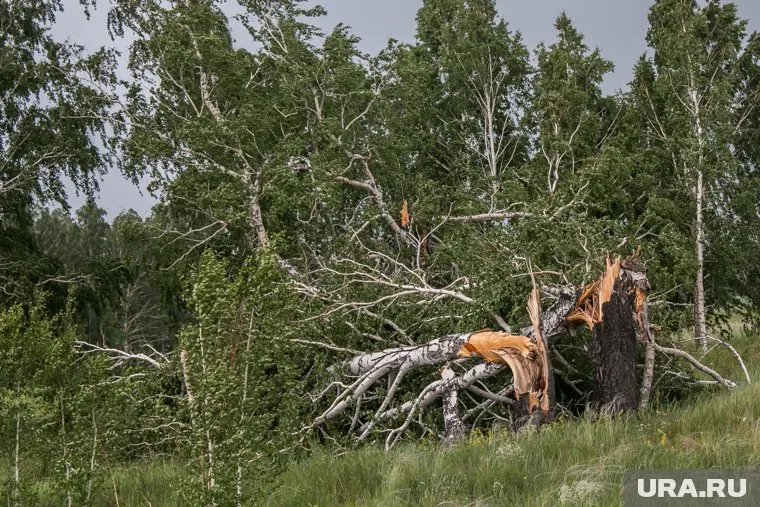 Орлов сообщил о работе спецслужб на месте крушения Ан-24 в Амурской области