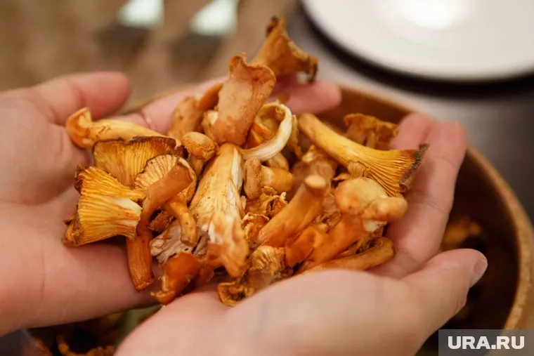 Грибы были прошлогодние, домашнего приготовления