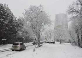 Фотография из галереи