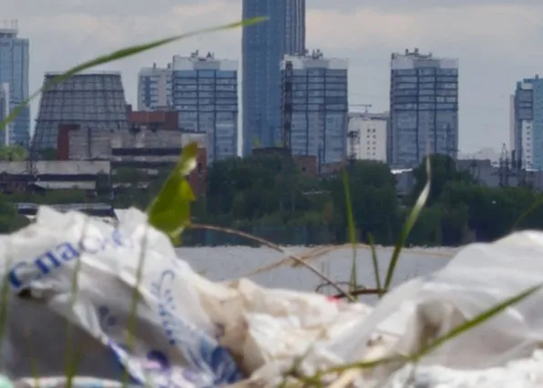 Фотография из галереи