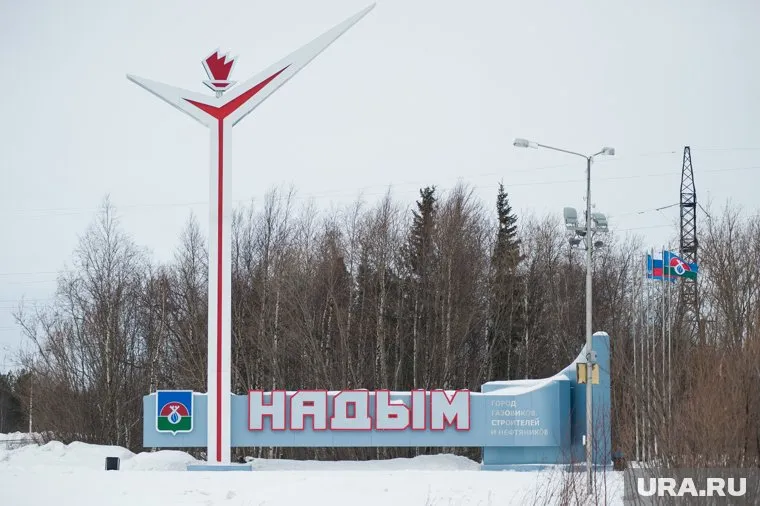 Власти Надыма ищут поставщика светодиодных скульптур