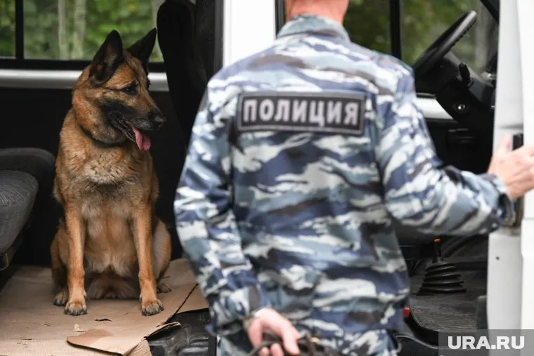 В Губкинском полиция задержала трех наркоторговцев