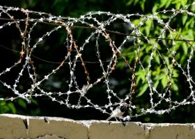 Отец девочки, брошенной на улице в Екатеринбурге, был судим за наркотики