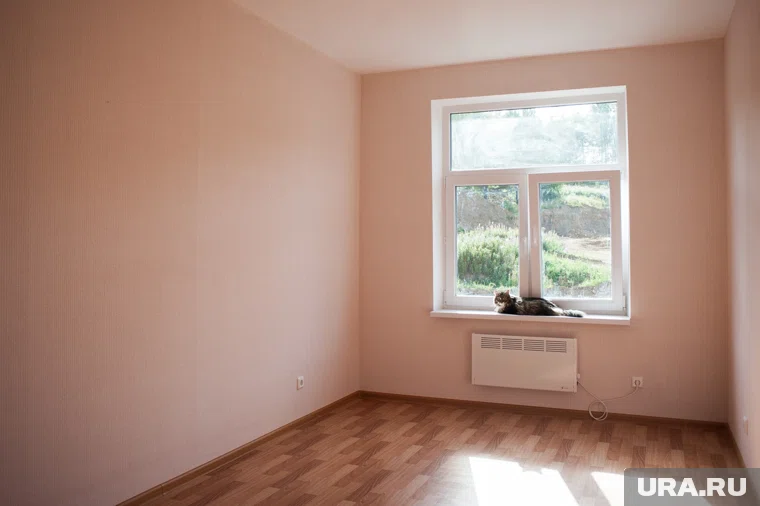 Закон об ограничении количества питомцев в квартирах может оставить животных на улице