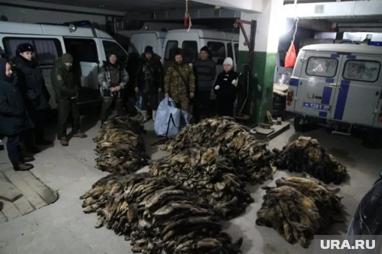 Ущерб силовики оценили в 1,8 млн рублей