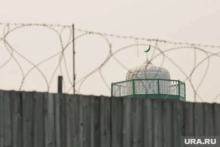 Варвара Караулова, пытавшаяся вступить в ИГИЛ, оказалась на свободе