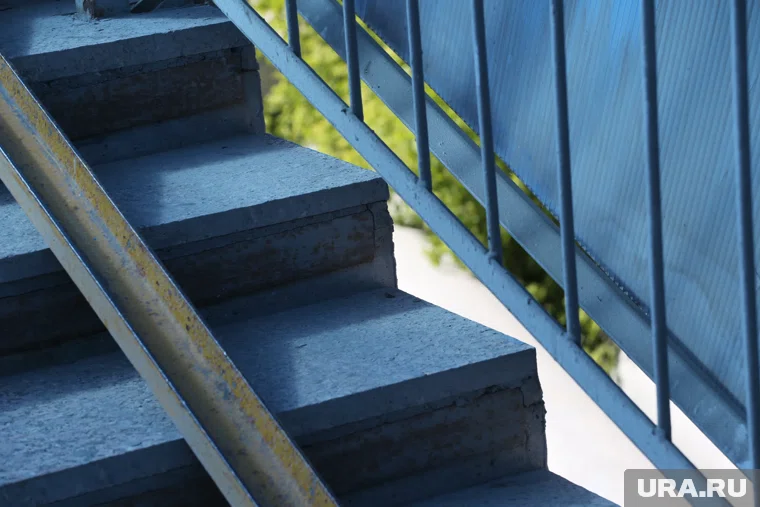 Оперативники нашли орудие убийства