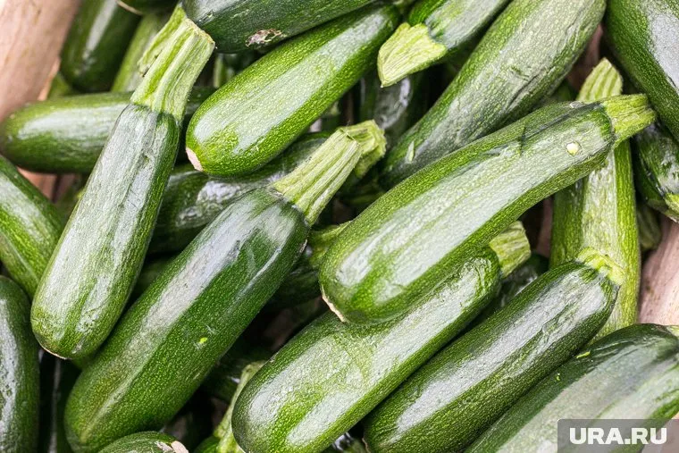 Кабачки богаты витаминами и минералами