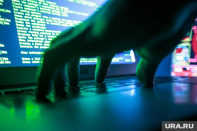 IT-специалистам, вернувшимся в Россию, помогут в поиске новой работы