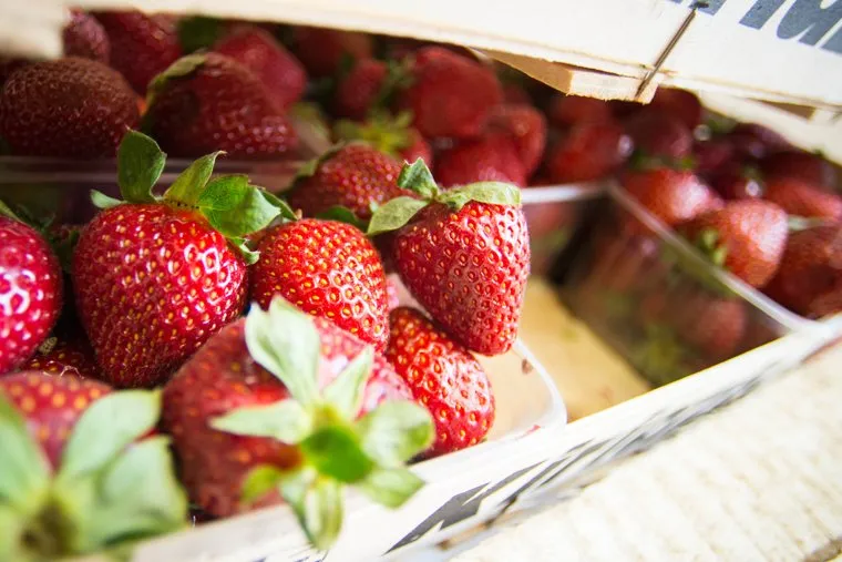 Клубника и вишня. Екатеринбург