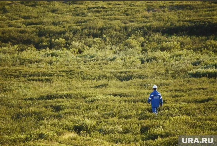 Тундра стала чище