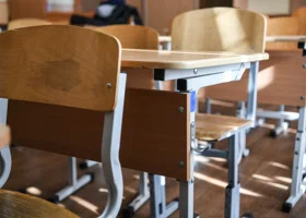 Фотография из галереи