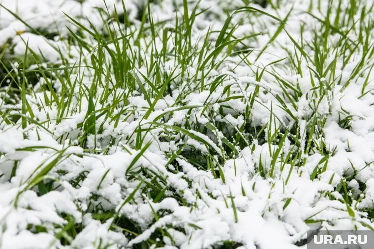 Для образования снежной крупы в регионе отсутствуют столь же мощные источники влаги и энергии