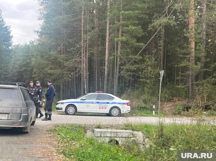 Силовики ведут поиск второго заключенного (фото с Чусовского тракта)