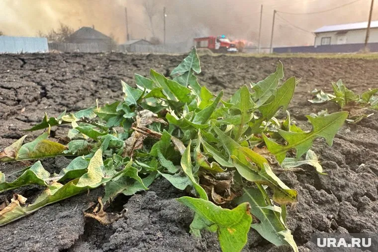 Курганским дачника надо подготовиться к вероятным ЧП