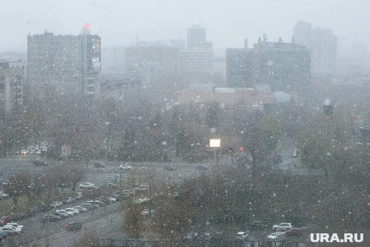 В ближайшие сутки осадки в Тюмени продолжатся