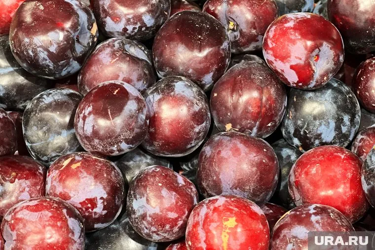 Сливы следовали в магазин автозапчастей в Кургане