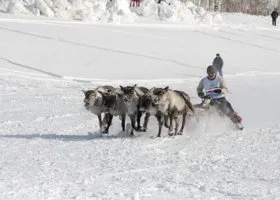 Жители ЯНАО на День оленевода будут соревноваться в северном ГТО