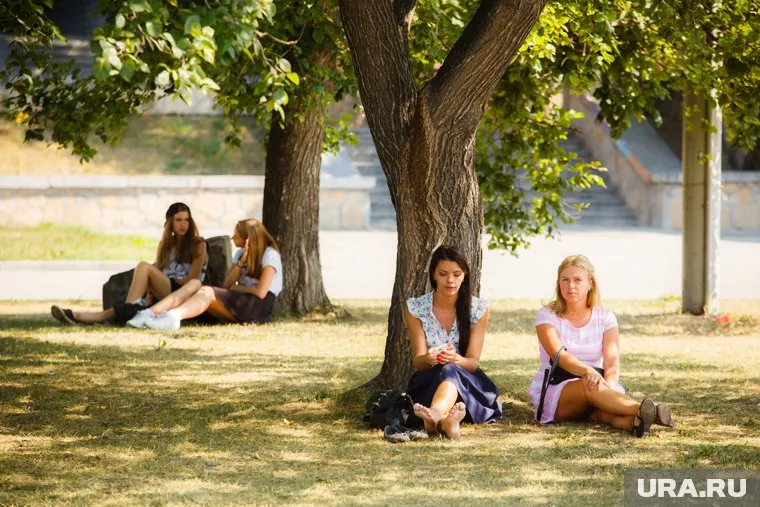 Прохладнее станет на следующей неделе